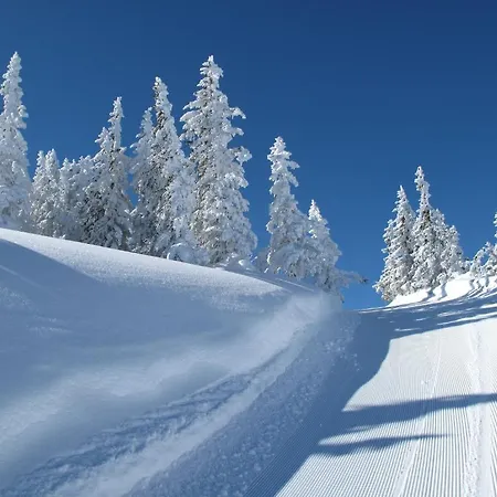 Muetzengruss Filzmoos