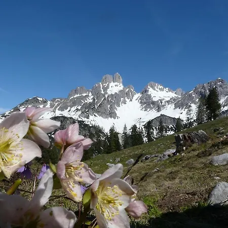 Appartement Muetzengruss