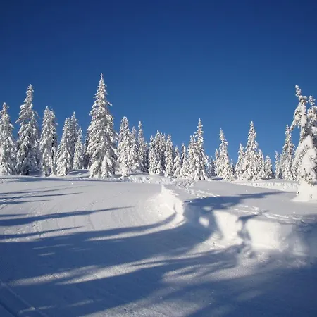 Muetzengruss Appartamento *