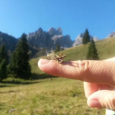 Appartamento Muetzengruss Filzmoos