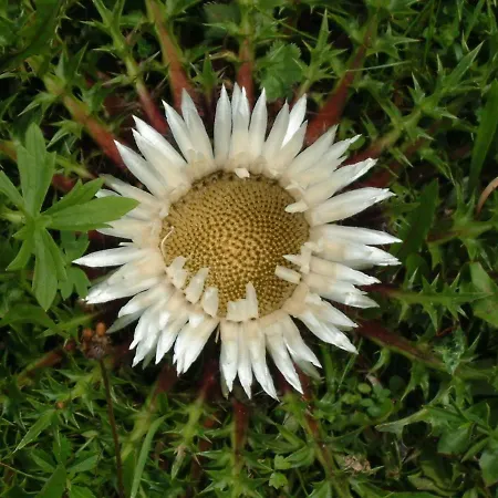 Muetzengruss Appartement Filzmoos