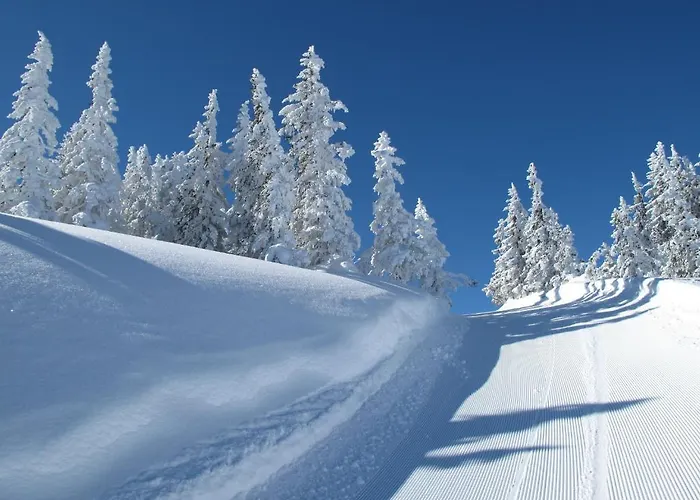 Muetzengruss فيلزموس