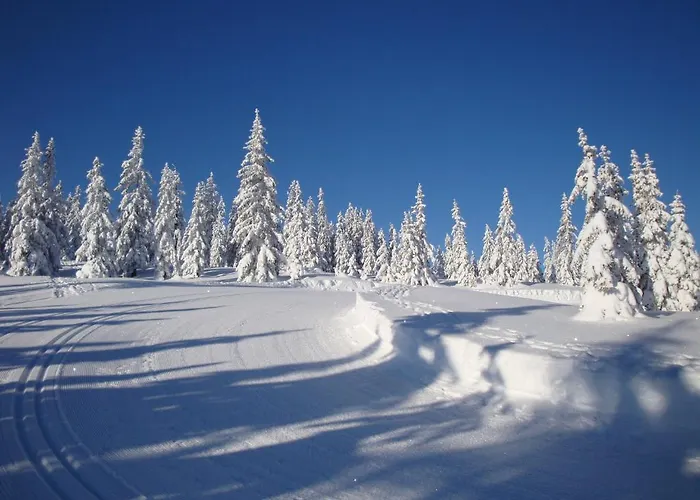 Muetzengruss شقة *