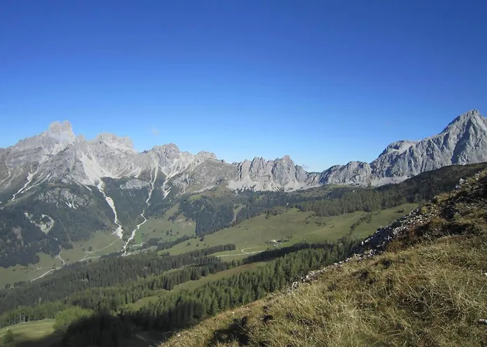 Muetzengruss * فيلزموس