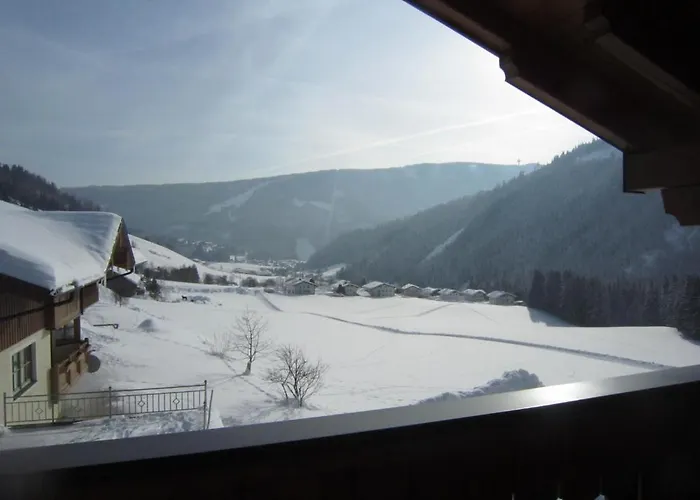 Muetzengruss * فيلزموس