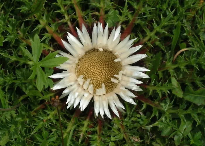 Muetzengruss شقة فيلزموس