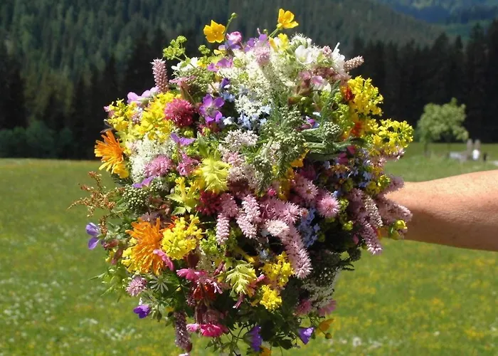 Muetzengruss فيلزموس